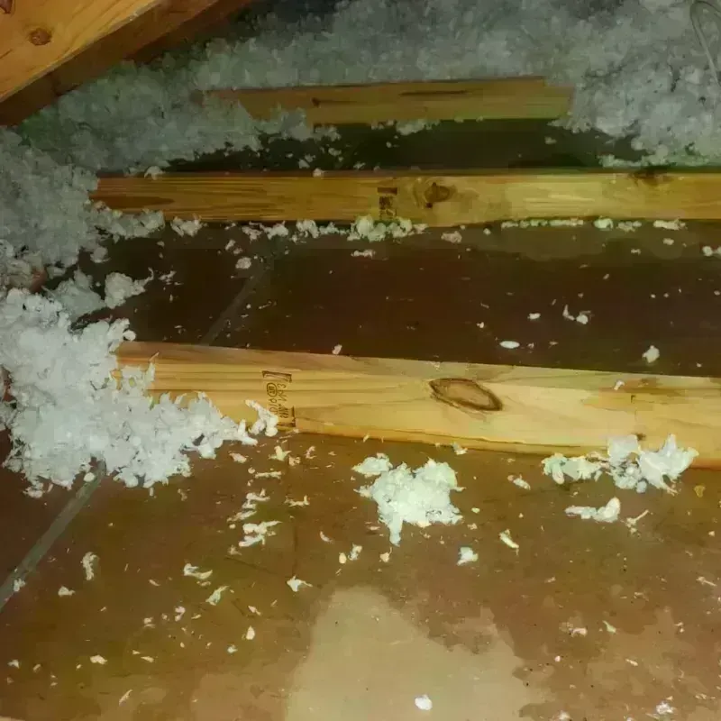 Attic Water Damage in Deadwood, SD