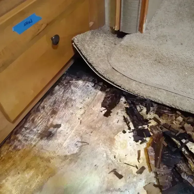 Wood Floor Water Damage in Deadwood, SD